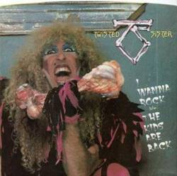 Twisted Sister : I Wanna Rock - The Kids Are Back